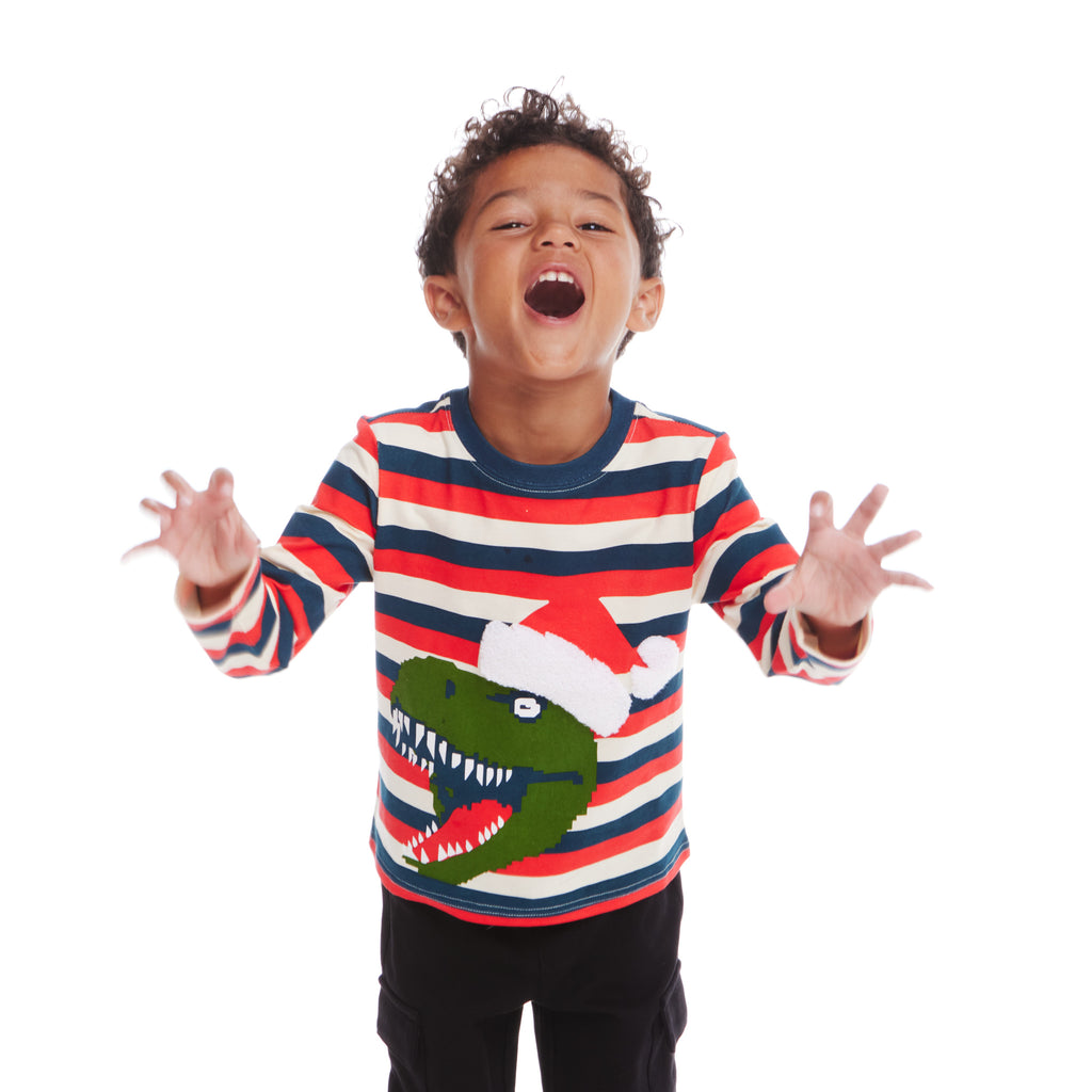 Kids Multicolor Striped Long Sleeve Tee | Holiday T-Rex - Andy & Evan